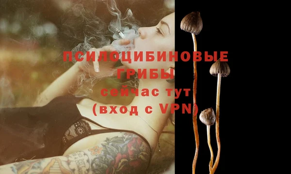ALPHA PVP Ельня