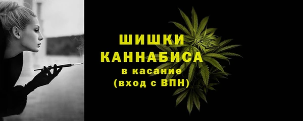 ALPHA PVP Ельня