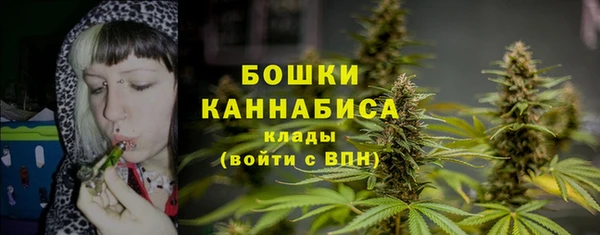 ALPHA PVP Ельня
