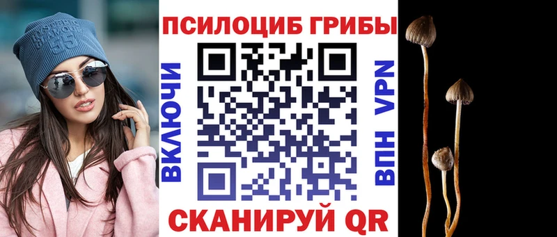 Галлюциногенные грибы Psilocybe  Знаменск 
